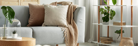Throw Pillows: Still in Style or Just a Fluff of the Past? - Cush Potato Pillows